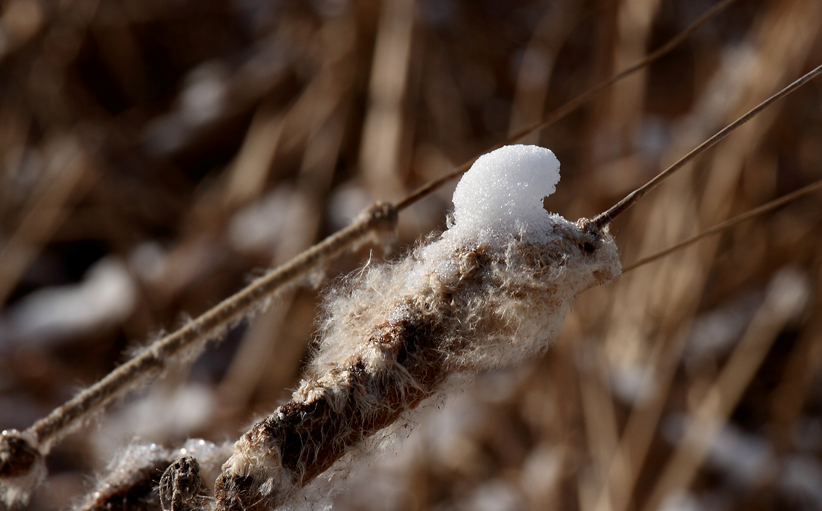 IMG_8555 ����.jpg