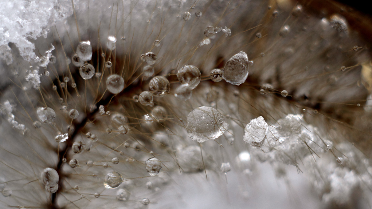 IMG_8543 ����.jpg