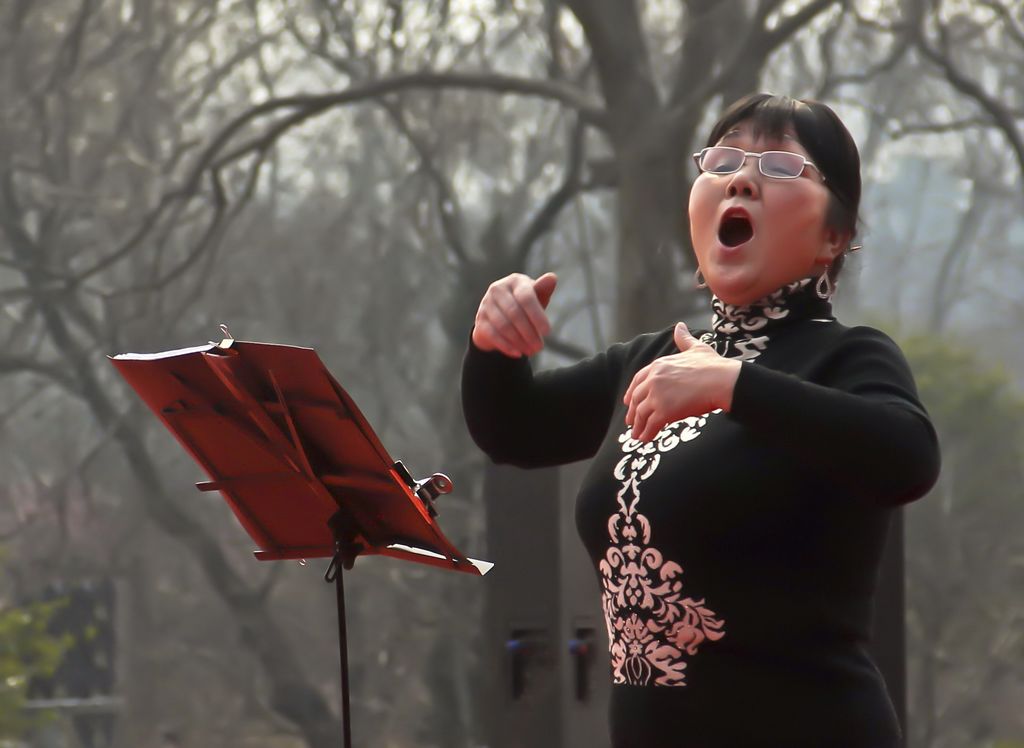 �Ҹ���ɳ�������