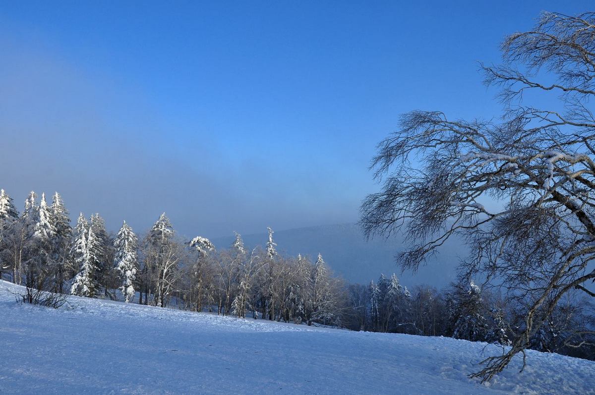 ѩ��ѩ����