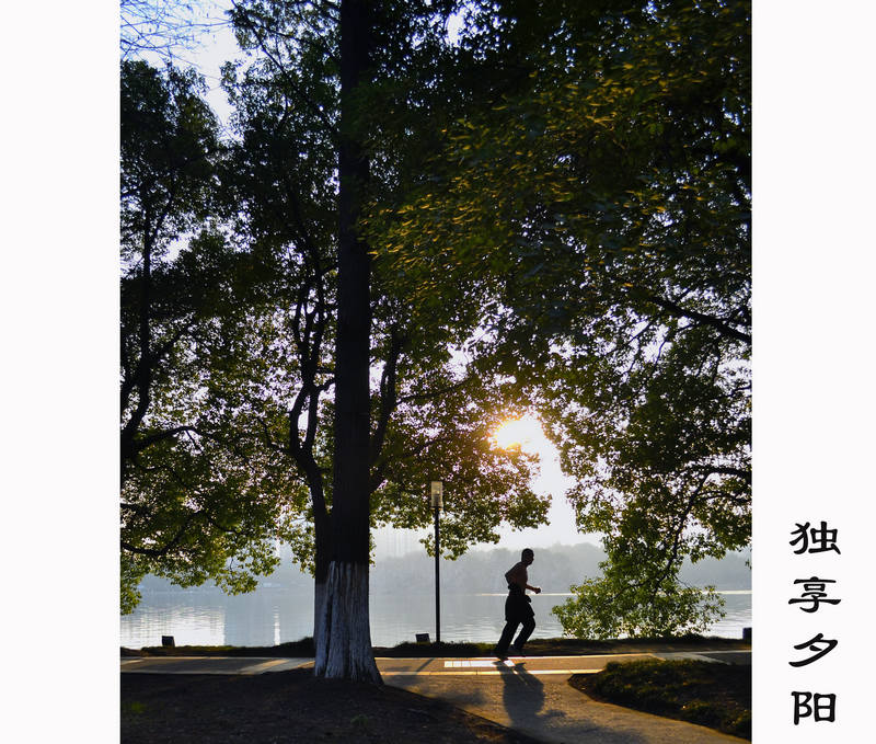 ���� (2) _DSC0176.JPG