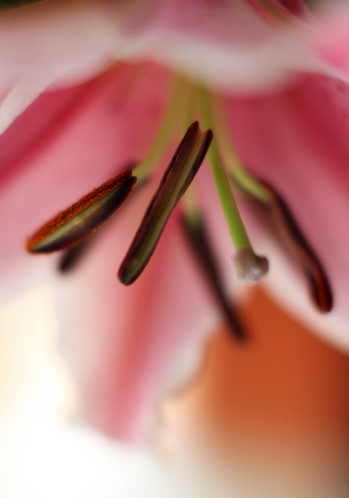 IMG_8667 ����.jpg