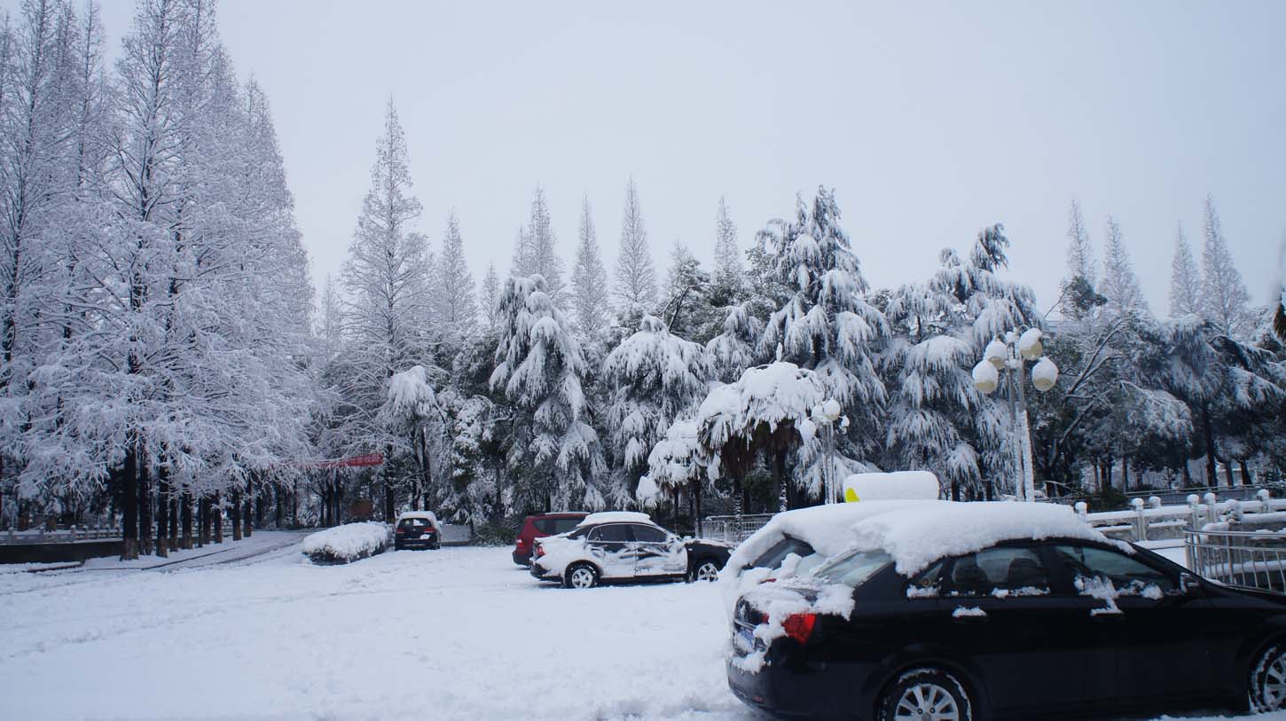 ���� DSC04490.JPG