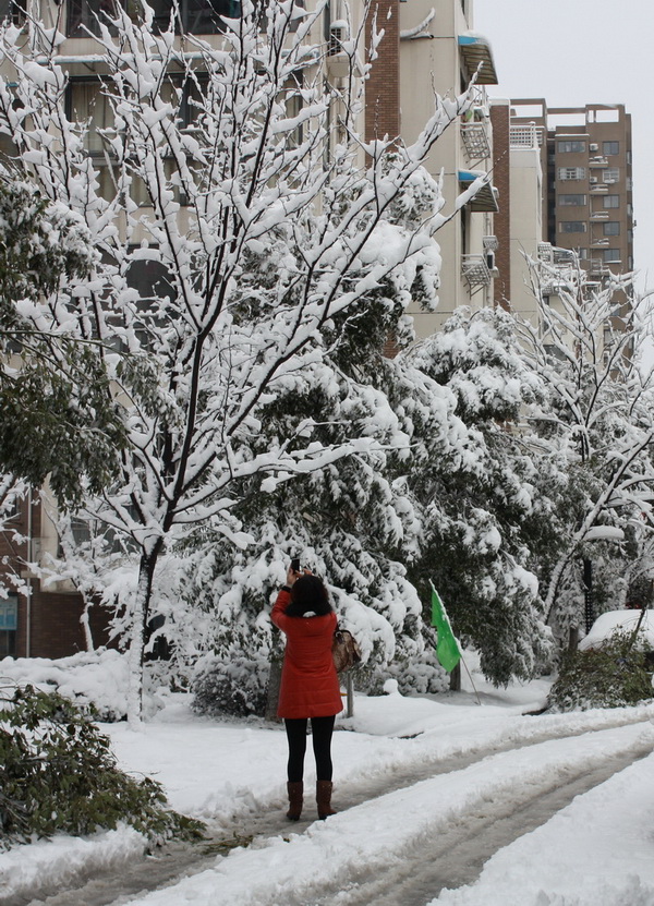 2013.1.8 047_conew1.jpg