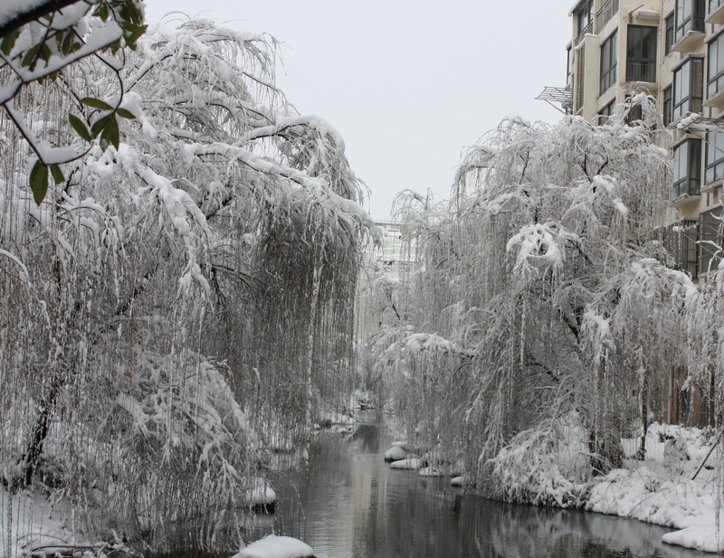 2013.1.8 066_conew1.jpg