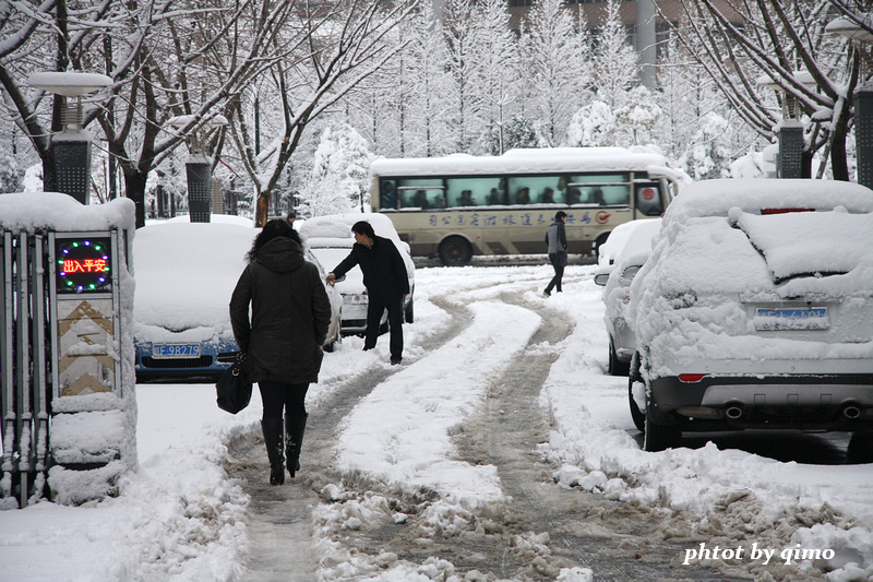 С���ſ���