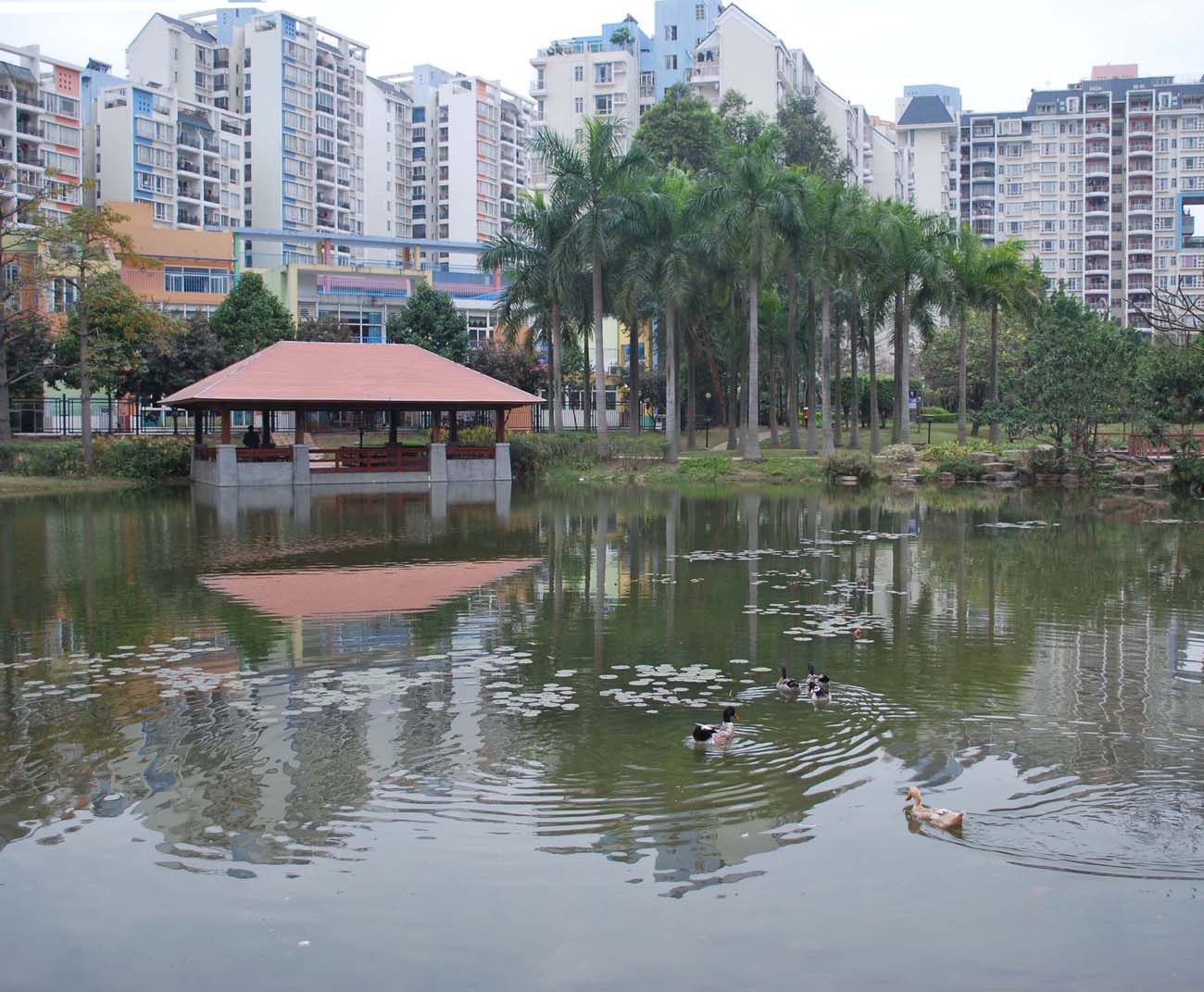 DSC_0467 - ����.JPG