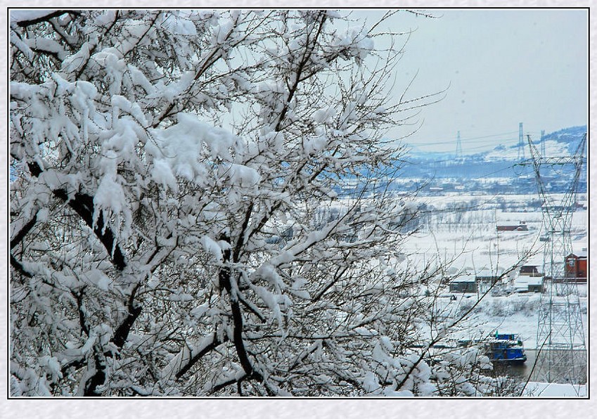 ���� DSC_7534_conew1.JPG