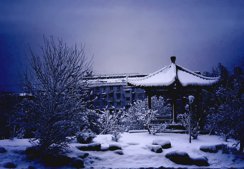 ���� ��ѩҹ��DSC05369_conew1.jpg