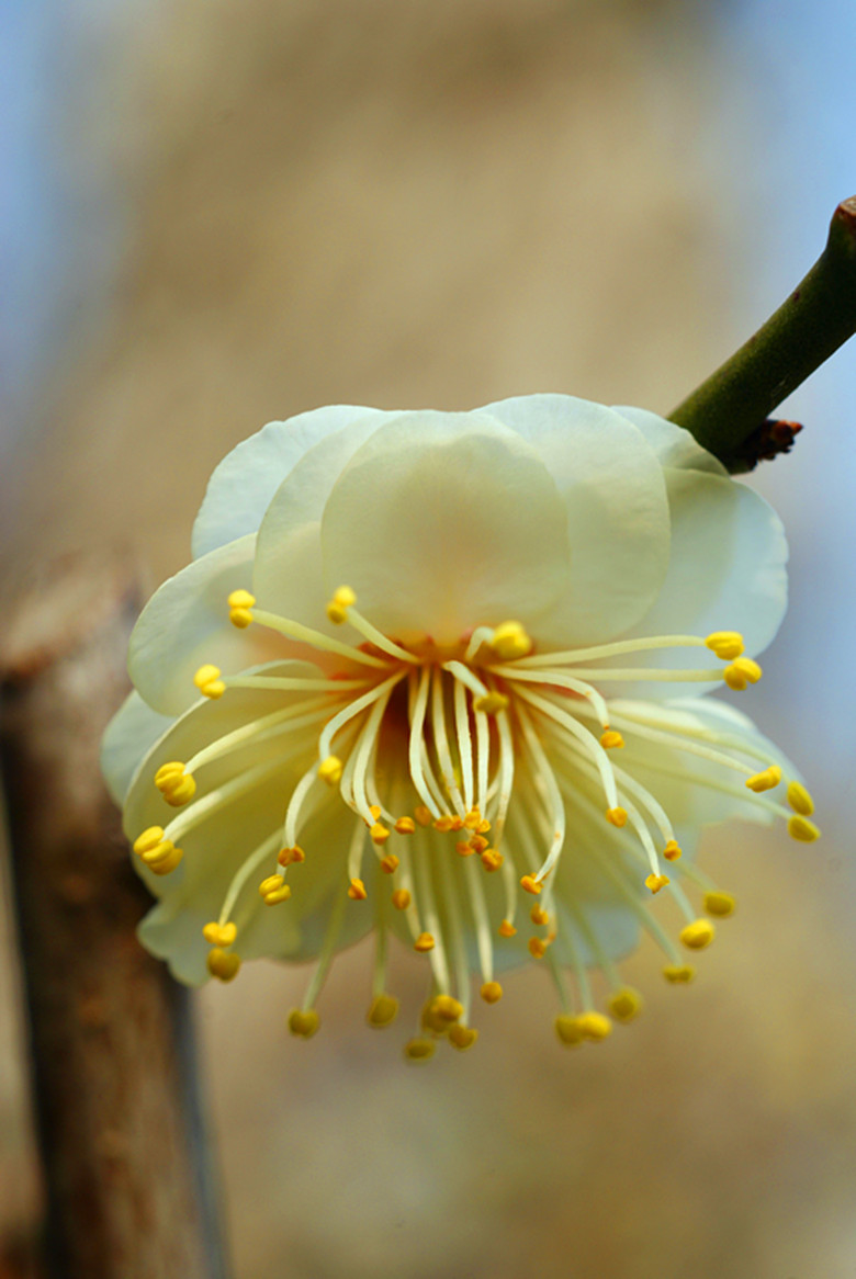 DSC03534_���� - ����.jpg