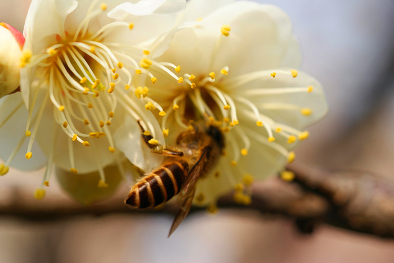 DSC03537_���� - ����.jpg