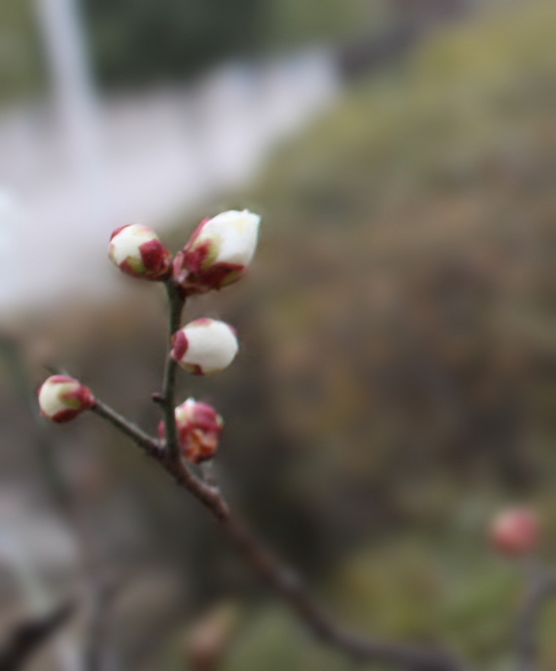 2013.1.8 054_conew3.jpg