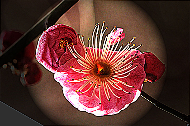 _DSC0471 ����.jpg