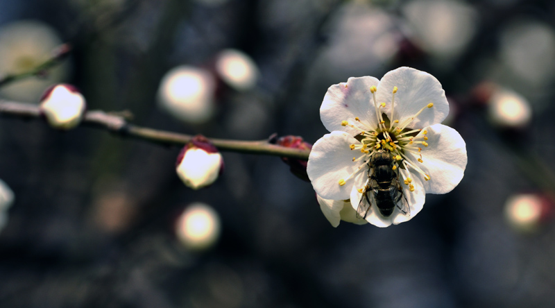 _DSC0718 ����.jpg