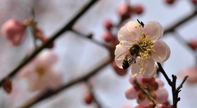 _DSC0679 ����.jpg