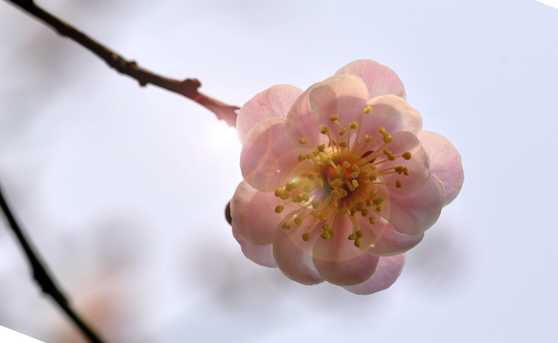 _DSC0647 ����.jpg