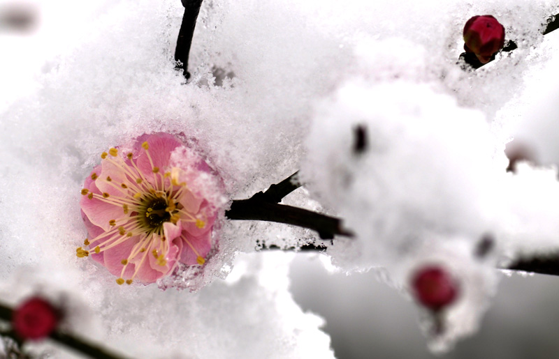 _DSC0285 ����.jpg