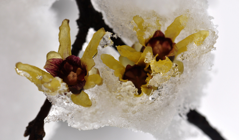 _DSC0239 ����.jpg