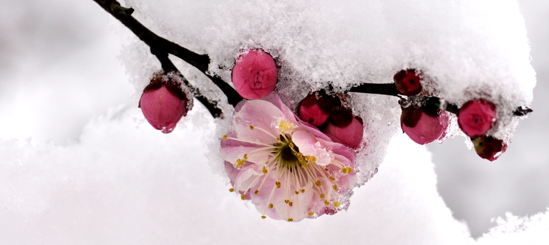 _DSC0211 ����.jpg