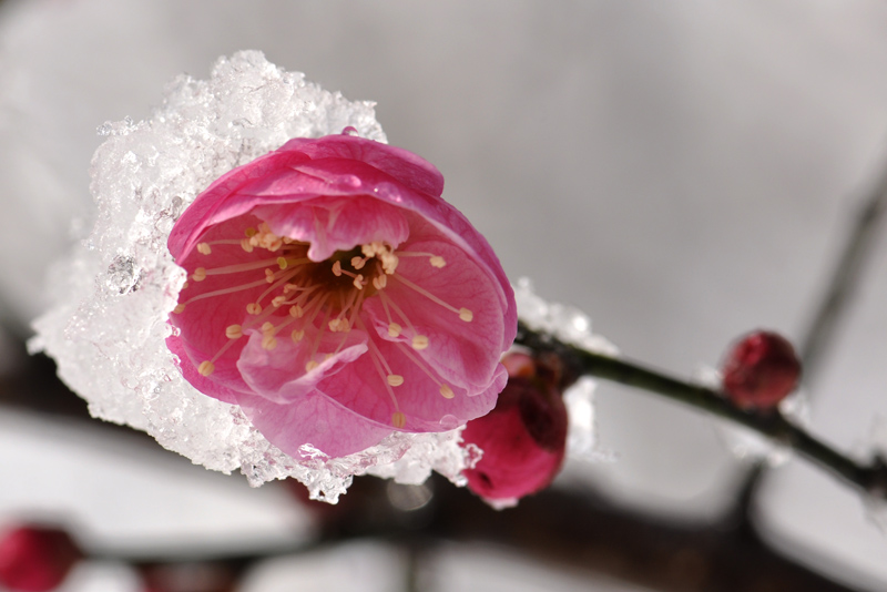 _DSC0323 ����.jpg