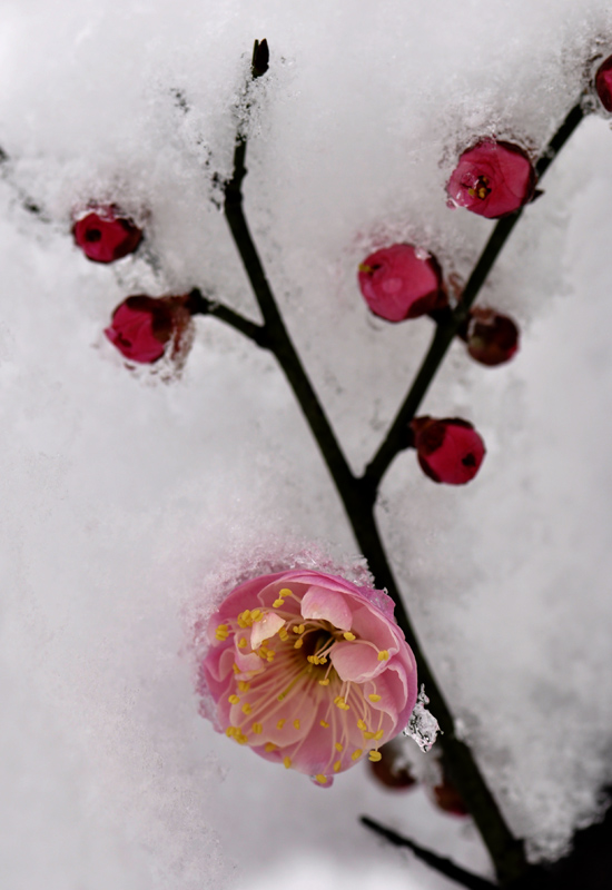 _DSC0290 ����.jpg