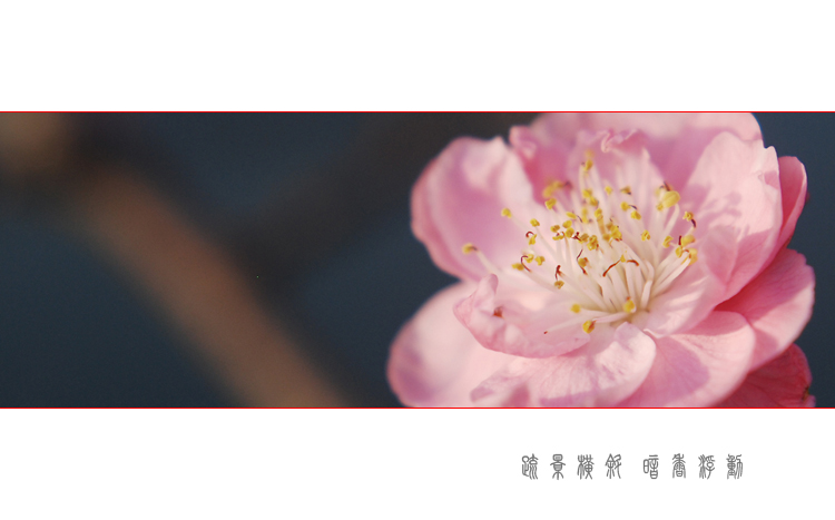 DSC_0348 ����2.jpg