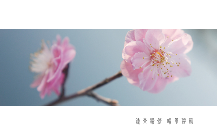 DSC_0353 ����.jpg