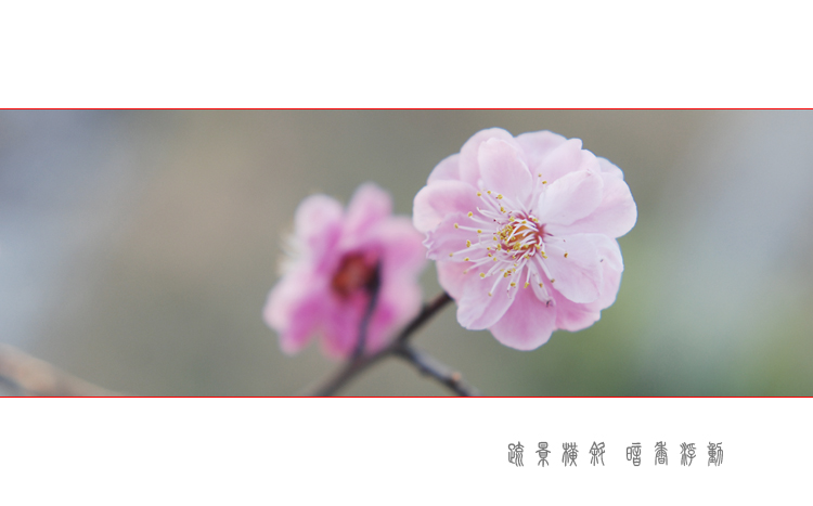 DSC_0384 ����.jpg