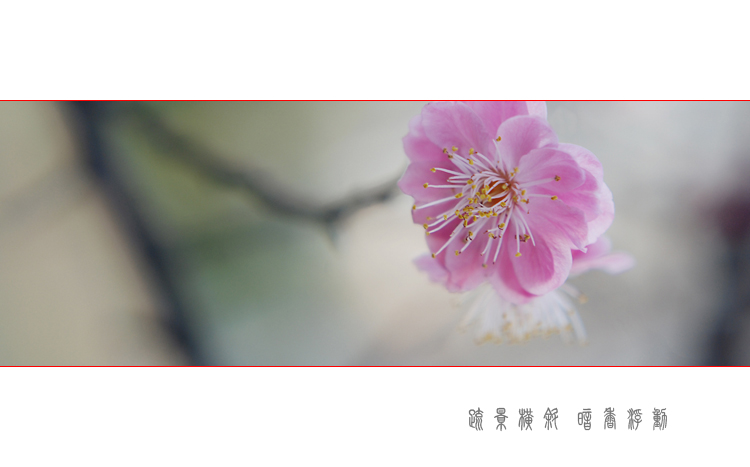 DSC_0410 ����.jpg