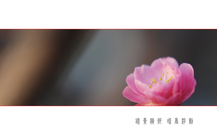 DSC_0429 ����.jpg