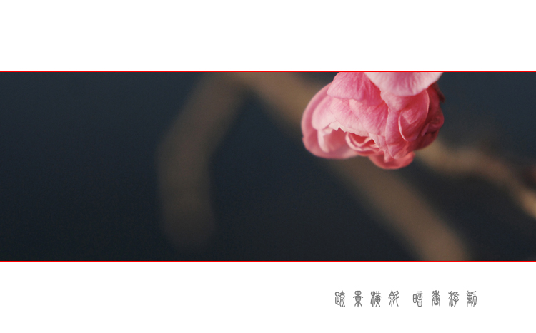 DSC_0348 ����.jpg