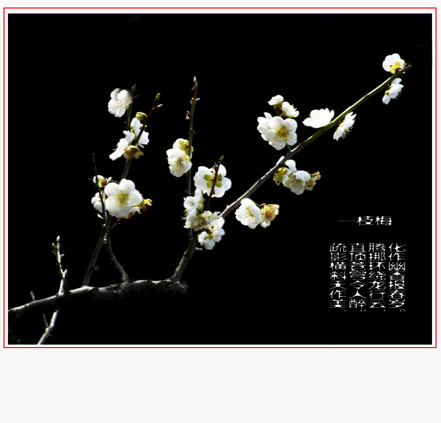 ���� (2) _DSC8717_conew2.JPG