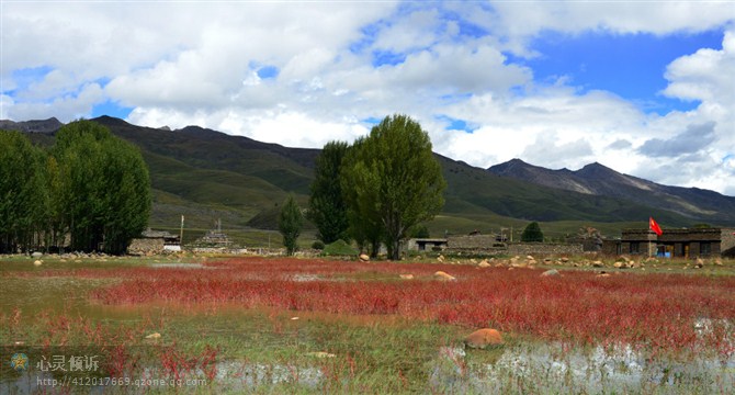 ���ǵ��峿