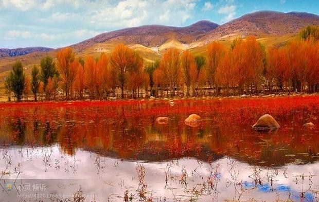 ���ǵİ���