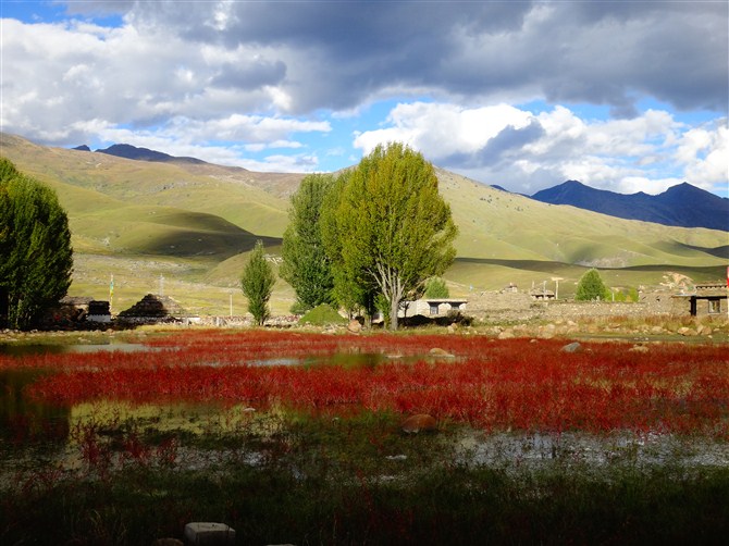 ���ǵ�����