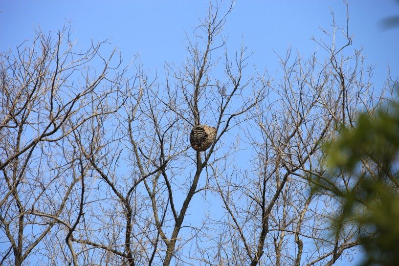 ��ʯ��԰�ķ���