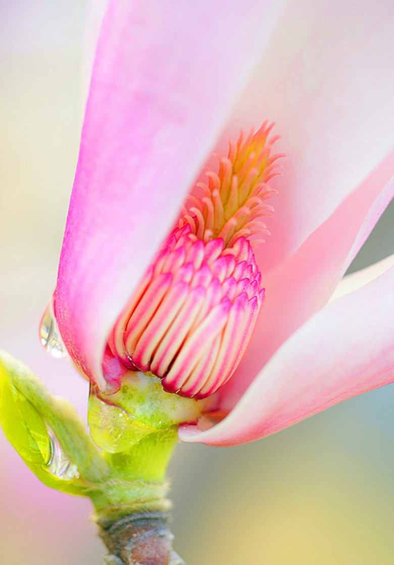 DSC03891_���� - ����.jpg