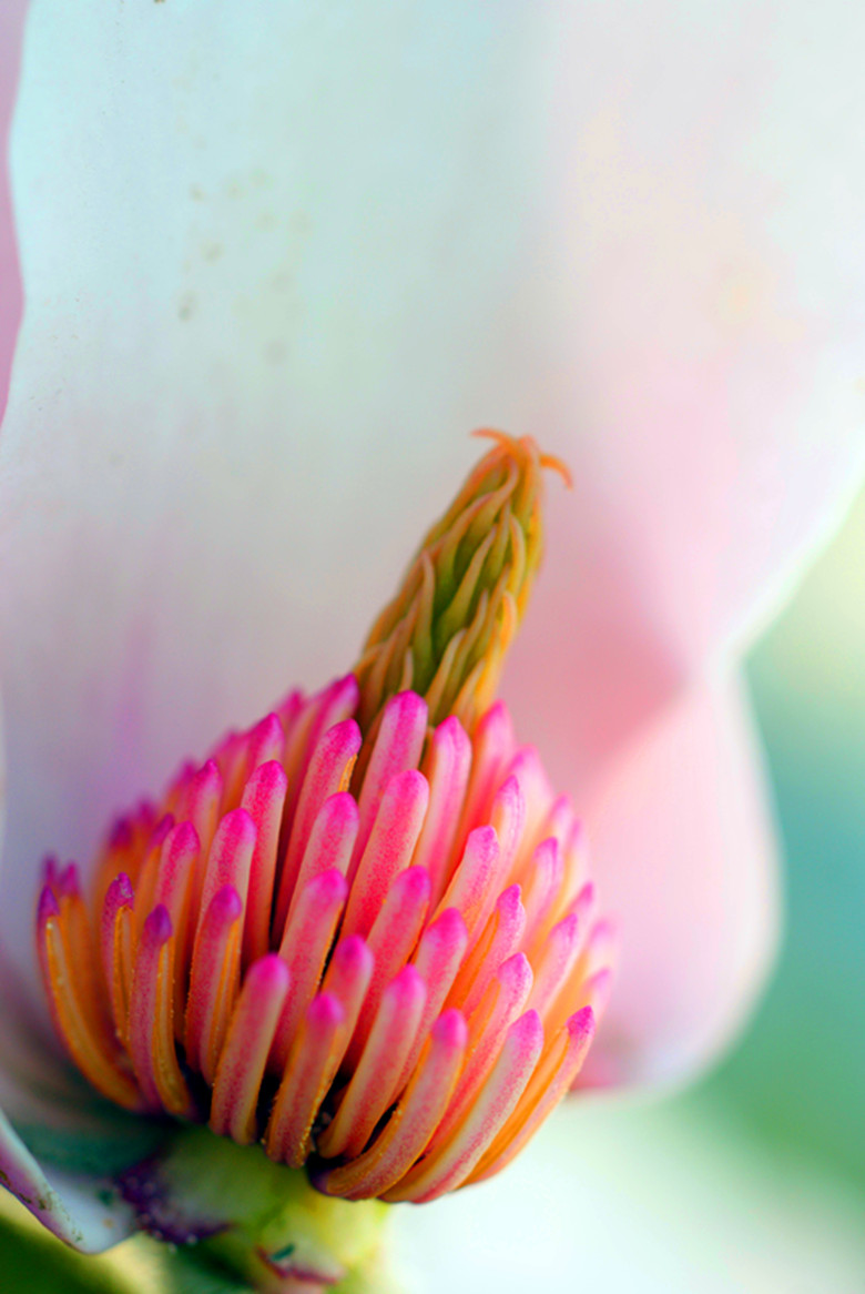 DSC03890_���� - ����.jpg