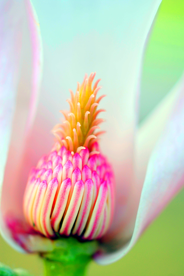 DSC03895_���� - ����.jpg