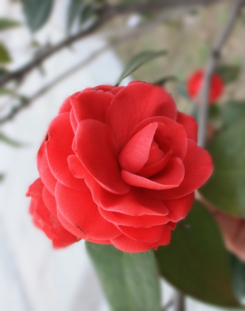 2013.1.8 013_conew1.jpg