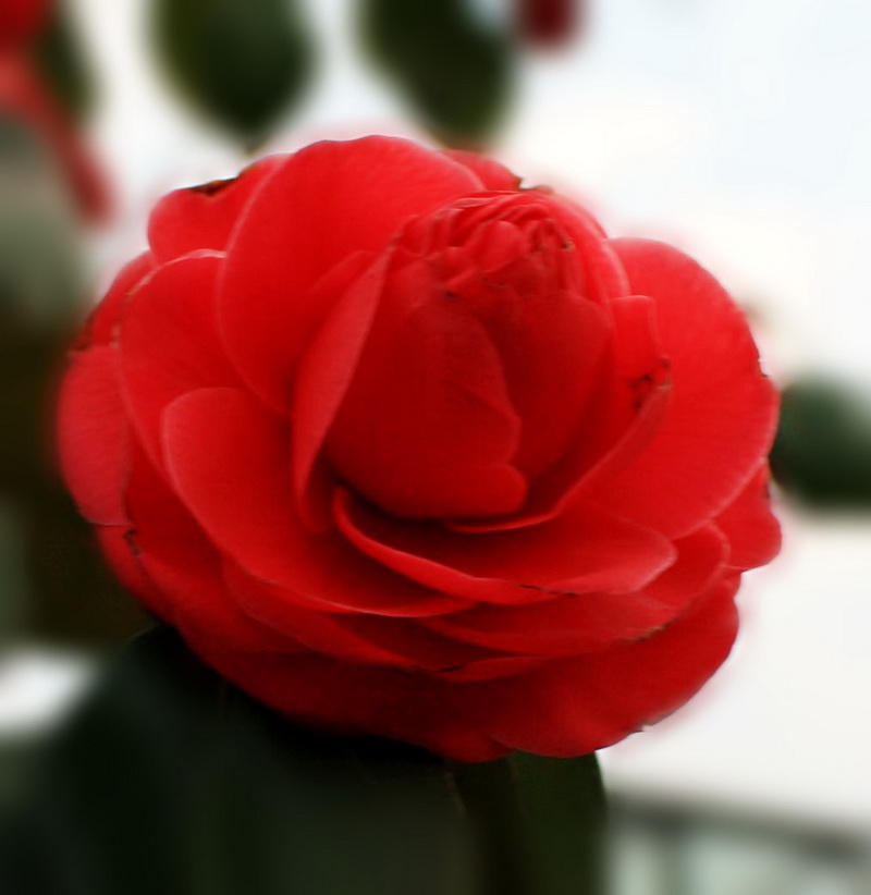 2013.1.8 016_conew1.jpg