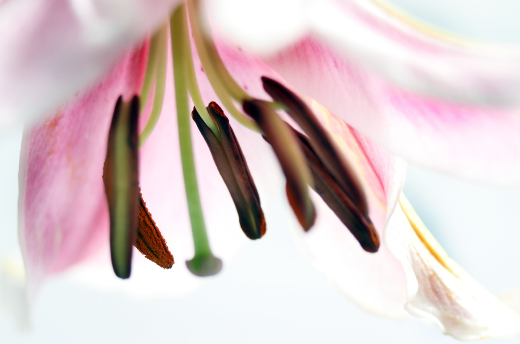 IMG_8685 ����.jpg