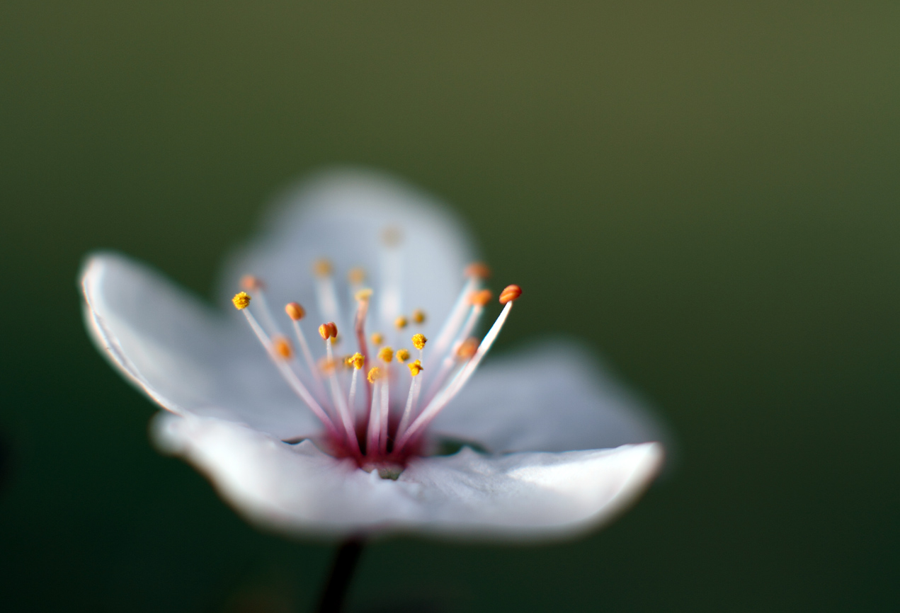 IMG_9078 ����.jpg