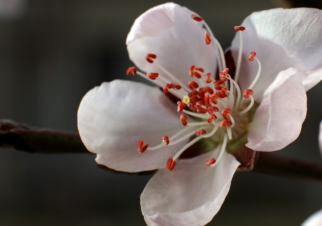 IMG_9130 ����.jpg