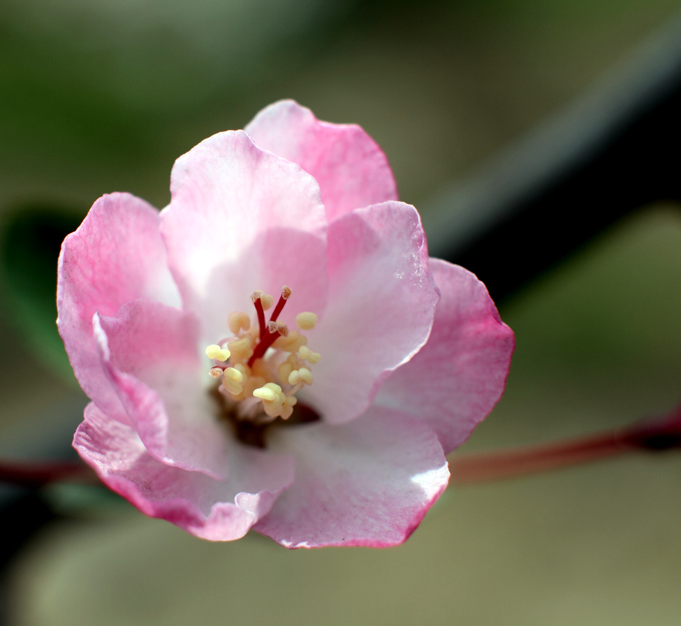 IMG_9175 ����.jpg