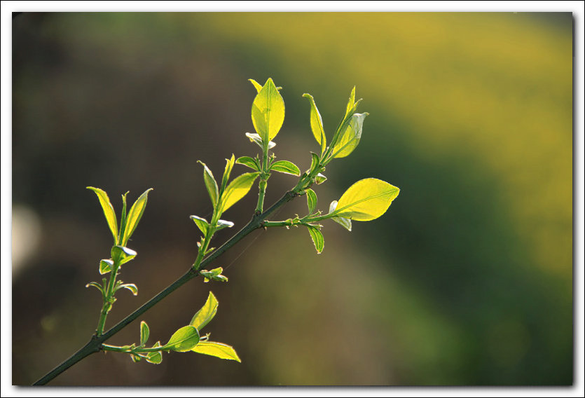 IMG_5699 ����.jpg