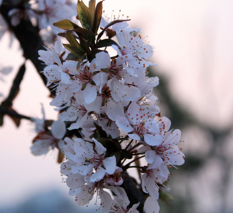 ���� ӣ��_conew1.jpg