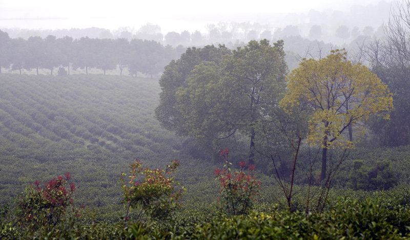 _DSC1203 ����.jpg