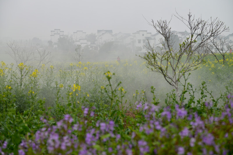 DSC_1145 ����.jpg