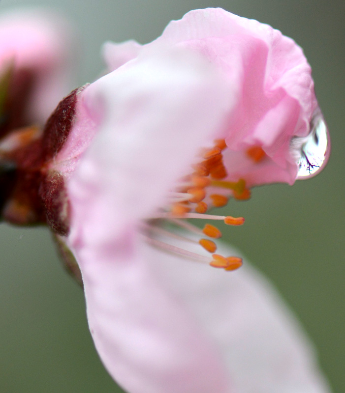 DSC_1105 ����.jpg